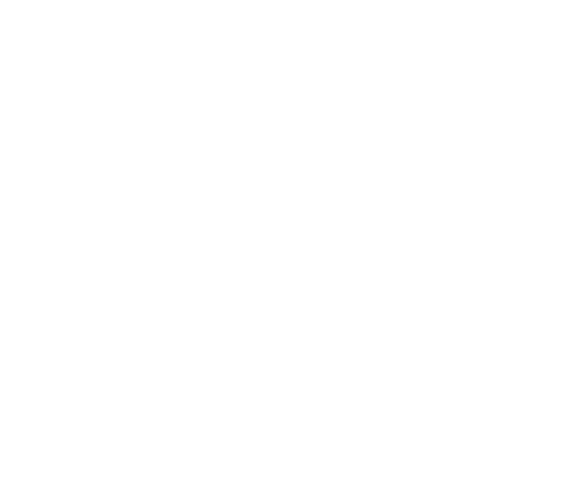 logo-smeraldo